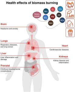 Pardo, M., Li, C., Zimmermann, R., & Rudich, Y. (2024). Health impacts of biomass burning aerosols: Relation to oxidative stress and inflammation. Aerosol Science and Technology, 58(10), 1093–1113.